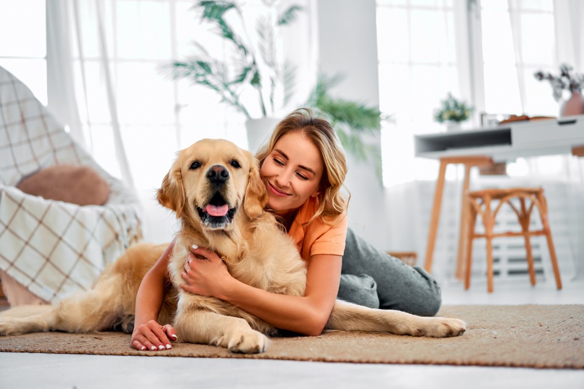 How To Prepare Your Dog For A New Home